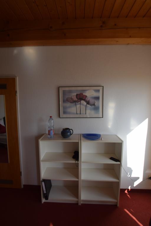 Tolstov-Hotels Big Room Apartment With Balcony Apartment *